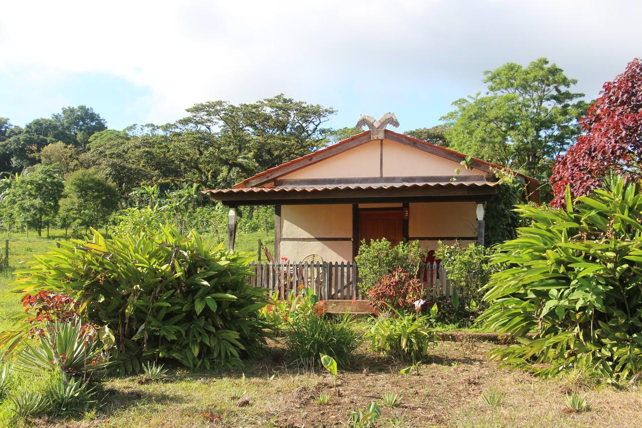 Finca Lindos Ojos Естелі Екстер'єр фото