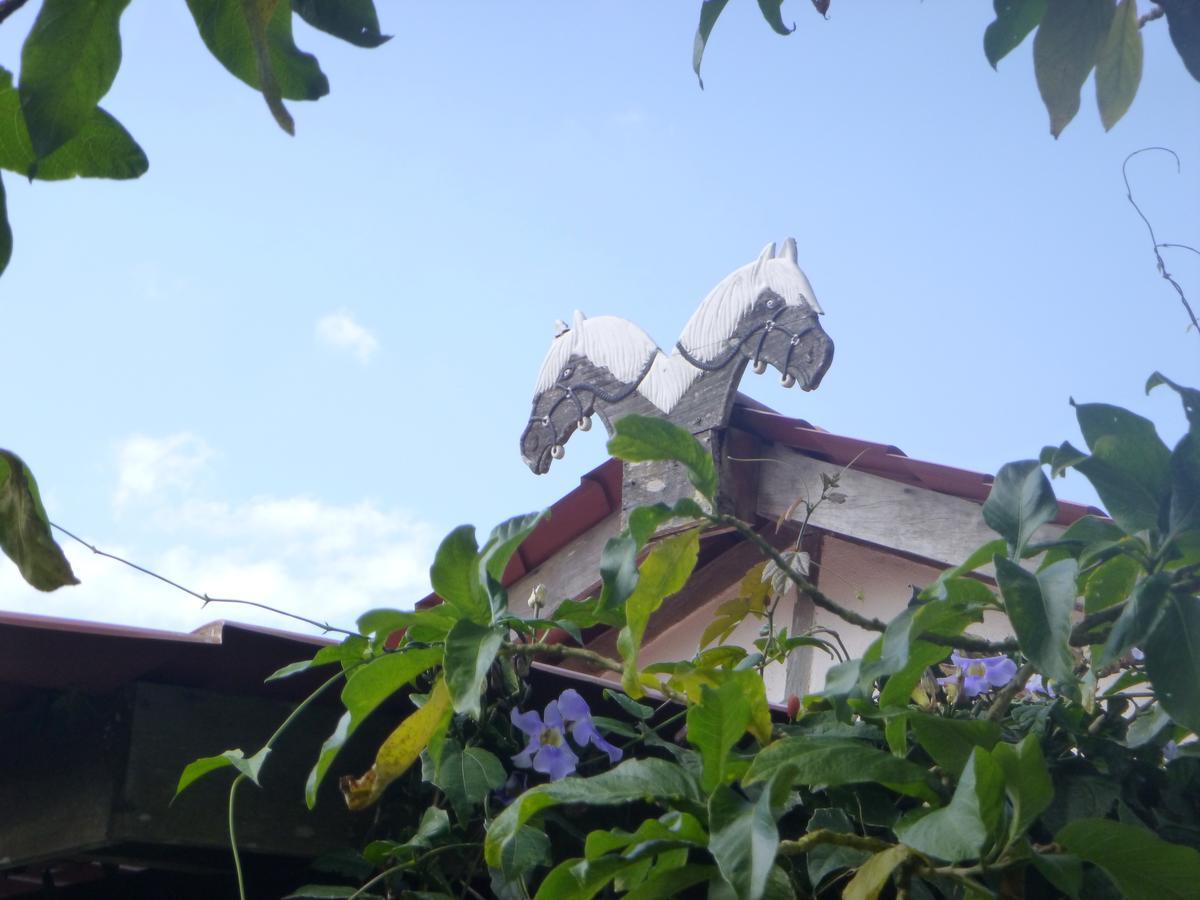 Finca Lindos Ojos Естелі Екстер'єр фото